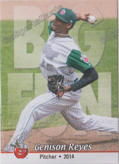 2014 Fort Wayne TinCaps Genison Reyes