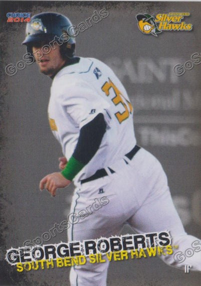 2014 South Bends Silver Hawks George Roberts