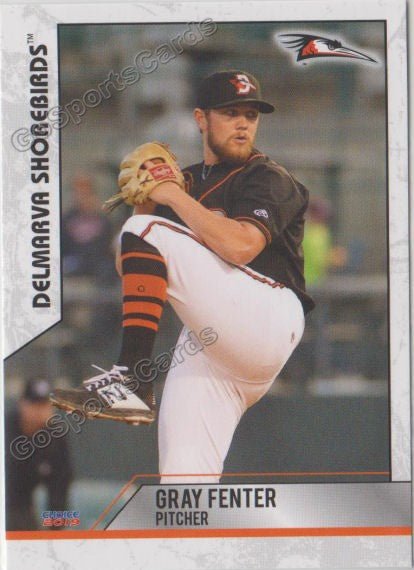 2019 Delmarva Shorebirds Gray Fenter