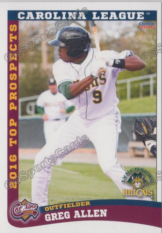 2016 Carolina League Top Prospect Greg Allen