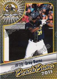 2011 Traverse City BeachBums Greg Burns