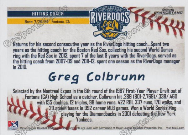 2016 Charleston RiverDogs Greg Colbrunn Back of Card