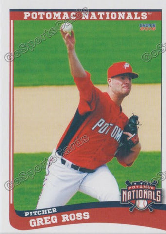 2016 Potomac Nationals Greg Ross