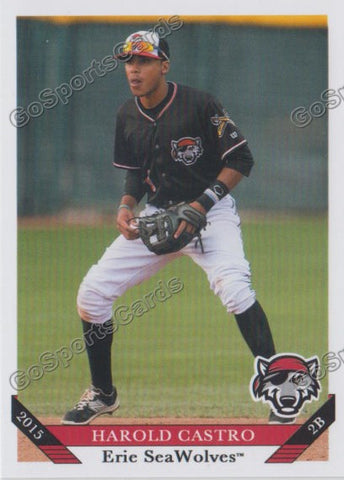 2015 Erie Seawolves Harold Castro
