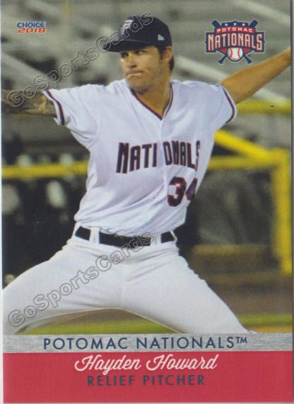 2018 Potomac Nationals Hayden Howard