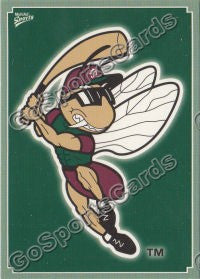 2011 Savannah Sand Gnats Header Card