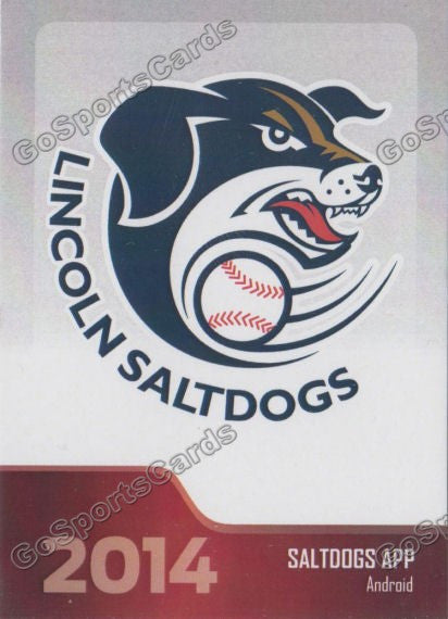 2014 Lincoln Saltdogs Header