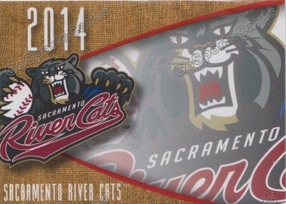 2014 Sacramento River Cats Header Checklist