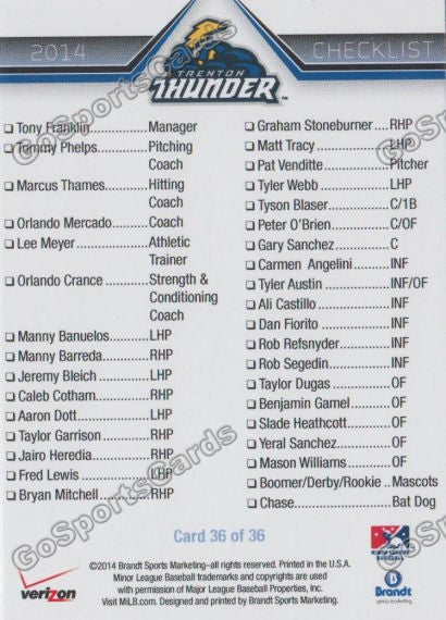2014 Trenton Thunder Checklist