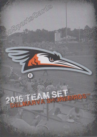 2016 Delmarva Shorebirds Header Checklist