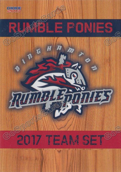 2017 Binghamton Rumble Ponies Checklist Header