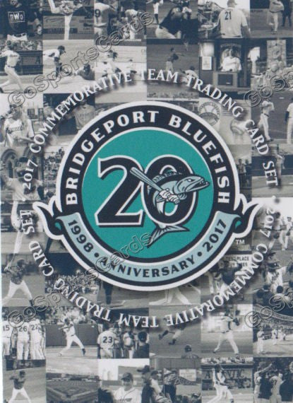 2017 Bridgeport Bluefish Header Checklist – Go Sports Cards