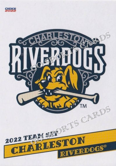 2022 Charleston RiverDogs Header Checklist