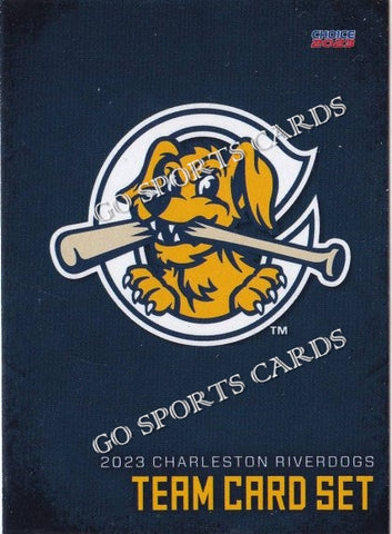 2023 Charleston RiverDogs Header Checklist