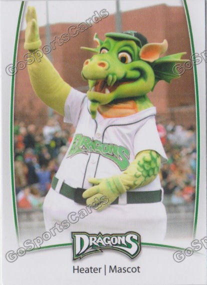 2014 Dayton Dragons Heater
