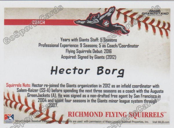 2016 Richmond Flying Squirrels Hector Borg Back of Card