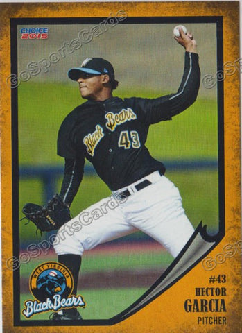 2015 West Virginia Black Bears Hector Garcia