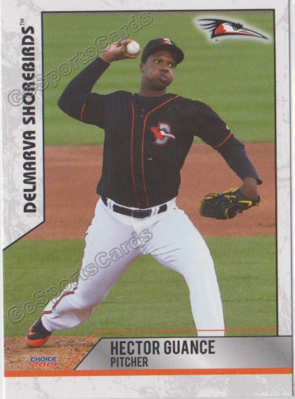 2019 Delmarva Shorebirds Hector Guance