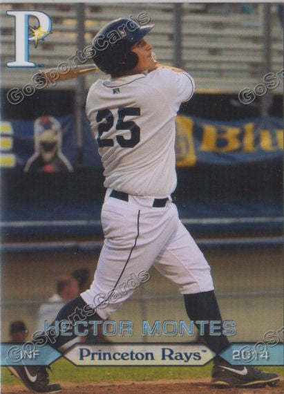 2014 Princeton Rays Hector Montes