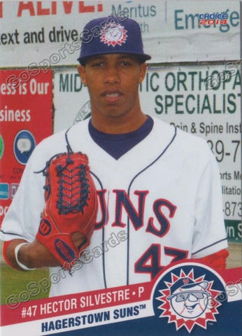 2014 Hagerstown Suns Hector Silvestre