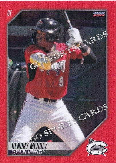 2022 Carolina Mudcats Hendry Mendez
