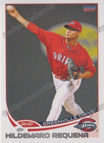 2017 Greenville Drive Hildemaro Requena