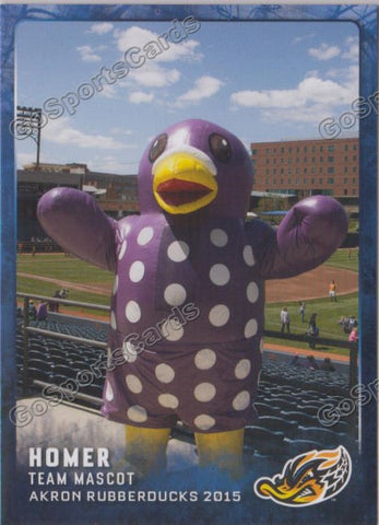 2015 Akron Rubberducks Homer Mascot