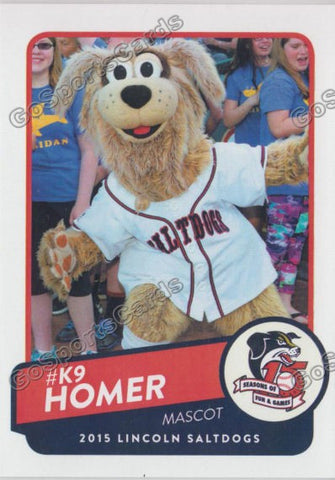 2015 Lincoln Saltdogs Homer Mascot