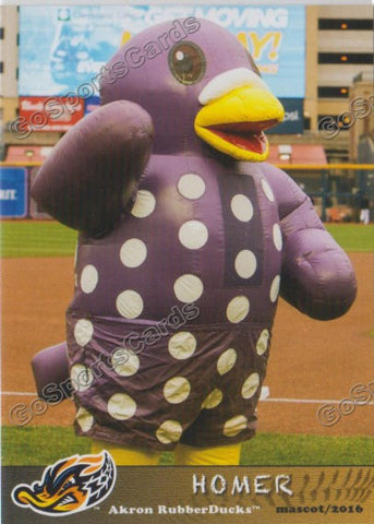2016 Akron Aeros Homer Mascot