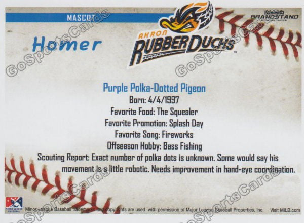 2016 Akron Aeros Homer Mascot Back of Card