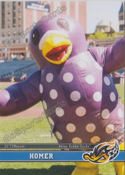 2017 Akron RubberDucks Homer Mascot