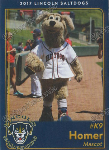 2017 Lincoln Saltdogs Homer Mascot
