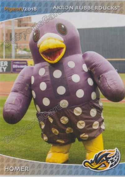 2018 Akron Rubber Ducks Homer Mascot