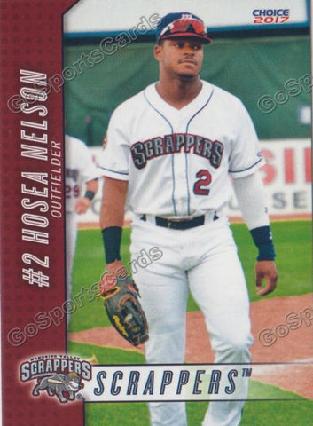 2017 Mahoning Valley Scrappers Hosea Nelson