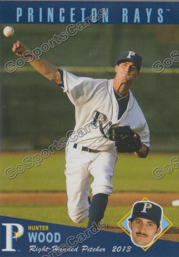 2013 Princeton Rays Hunter Wood