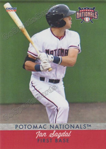 2018 Potomac Nationals Ian Sagdal