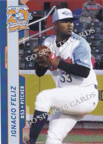 2022 Aberdeen IronBirds Ignacio Feliz