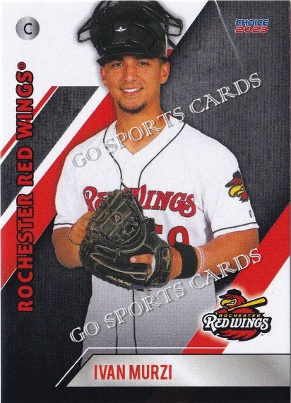 Rochester Red Wings Defenders of the Diamond Jersey #23 issued to
