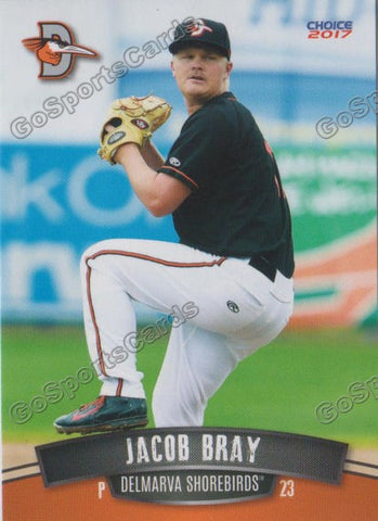 2017 Delmarva Shorebirds Jake Jacob Bray