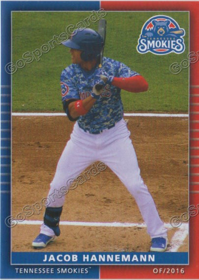 2016 Tennessee Smokies Jacob Hannemann