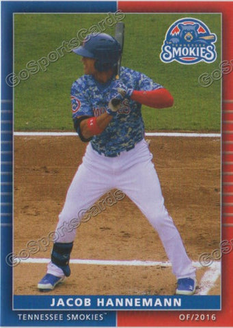 2016 Tennessee Smokies Jacob Hannemann