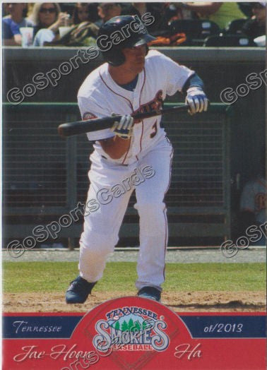 2013 Tennessee Smokies Jae Hoon Ha