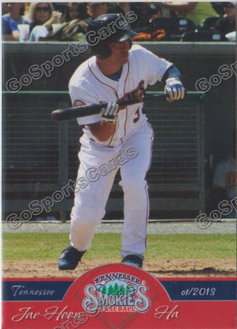 2013 Tennessee Smokies Jae Hoon Ha