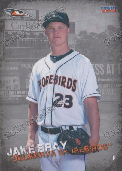 2016 Delmarva Shorebirds Jake Bray