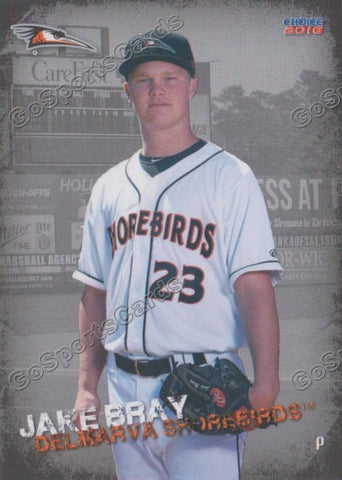 2016 Delmarva Shorebirds Jake Bray