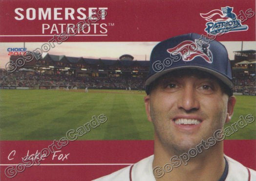 2013 Somerset Patriots Jake Fox