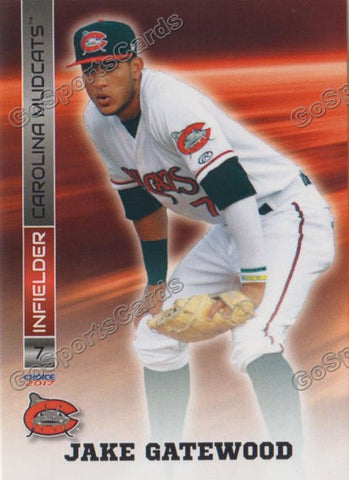 2017 Carolina Mudcats Jake Gatewood