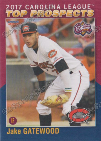 2017 Carolina League Top Prospect Jake Gatewood
