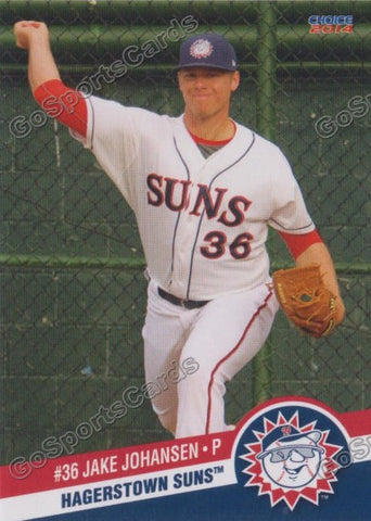2014 Hagerstown Suns Jake Johansen