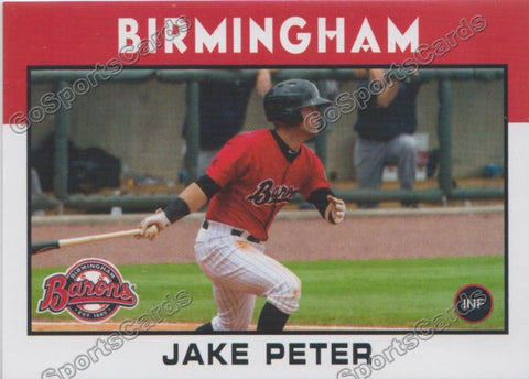 2016 Birmingham Barons Jake Peter